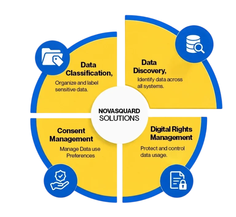 Data Discovery