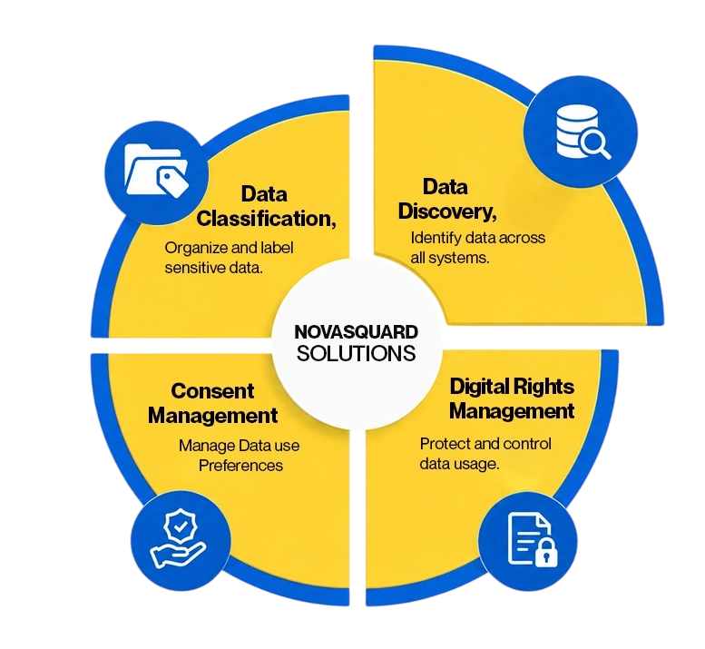Data Discovery